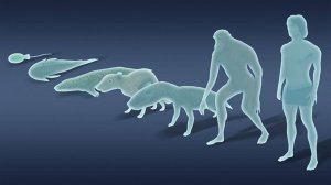 Species Journey: Growth Idle