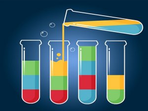 Color Fill Water Sort Puzzle Online Game