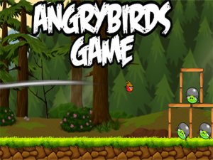AngryBird Online Puzzle Game