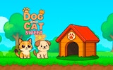 Dog and Cat Sweet Adventure