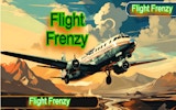 Flight Frenzy: Airplane Survival Challenge