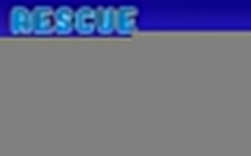 Rescue Rangers: Desert Temple Escape