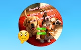 Round Jigsaw Puzzle: Cute Puppies