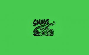 Snake 33 10 HTML5 Online Game - Classic Nokia Snake