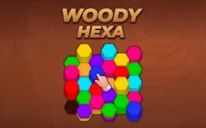 Hexagon Shape Match
